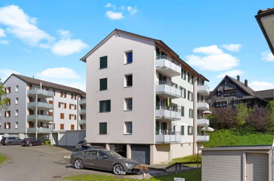 3.5-Zimmerwohnung mit möglicher Hauswartung in Zukunft